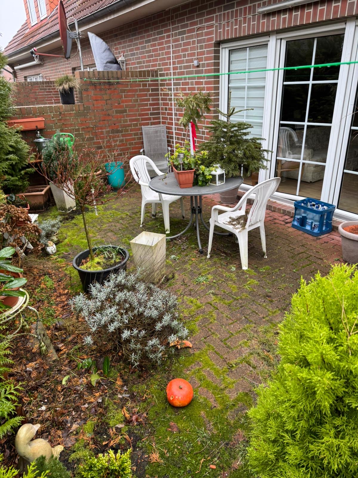Garten vor der Bearbeitung