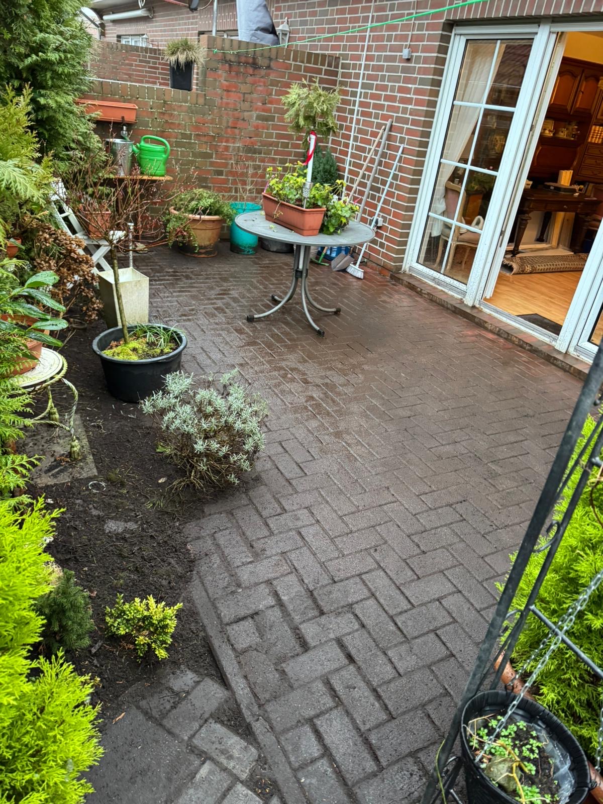 Garten vor der Pflege